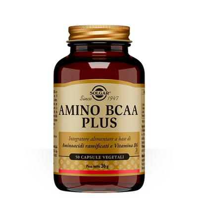 Solgar Amino BCAA Plus 50 Capsule