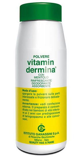 VITAMINDERMINA POLVERE MENT 100 G