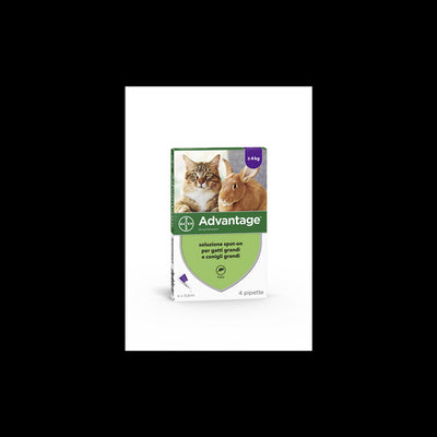Advantage Spot-On Soluz 4 Pipette 0,8 Ml 80 Mg Gatti E Conigli Grandi