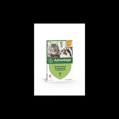 Advantage Spot-On Soluz 4 Pipette 0,4 Ml 40 Mg Gatti E Conigli Piccoli