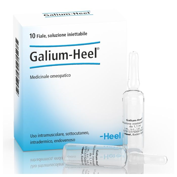 Heel Galium 10 Fiale Da 1,1 Ml L'una