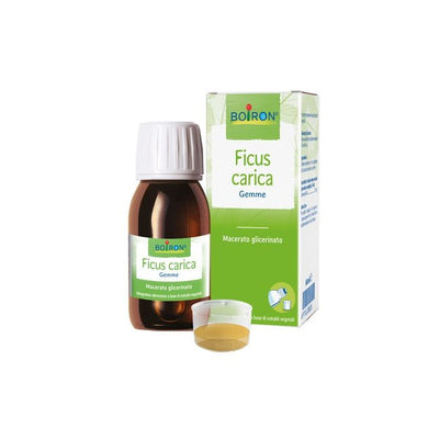 Ficus Carica Gemme Macerato Glicerinato 60 Ml Int