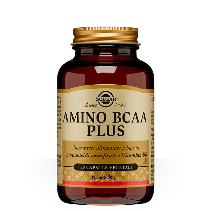 Solgar Amino BCAA Plus 50 Capsule