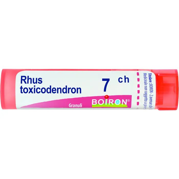 RHUS TOXICODENDRON (BOIRON)*80 granuli 7 CH contenitore multidose