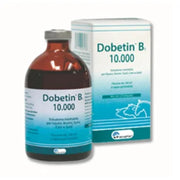 Dobetin B Flacone Soluzione 100 ml 1 mg/ml + 100 mg/ml