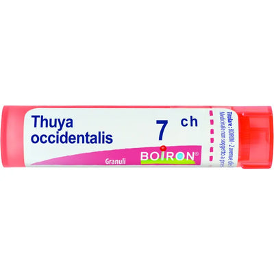 Thuya Occidentalis 7 Ch Granuli