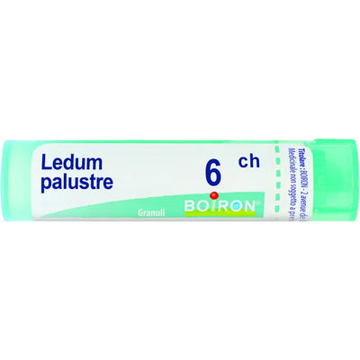 LEDUM PALUSTRE 6CH GRANULI