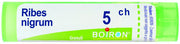 RIBES NIGRUM 5CH GRANULI 4G