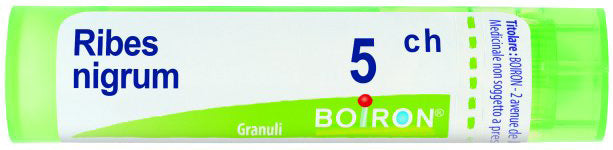 RIBES NIGRUM 5CH GRANULI 4G
