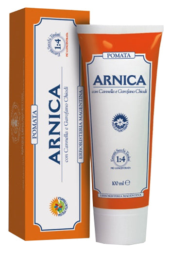 ARNICA FORTE POMATA 100 ML - ARNICA FORTE POMATA 100 ML