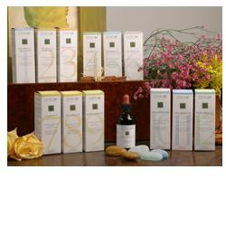 ZEF11 CALMA PLANT STV - ZEF11 CALMA PLANT STV