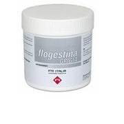 FLOGESTINA GRIGIA PASTA 1 KG