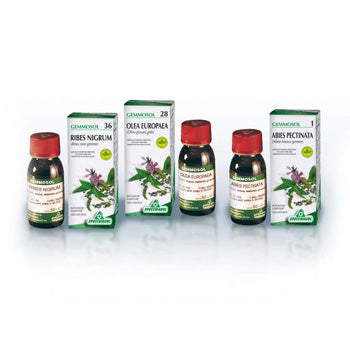 GEMMOSOL 24 FICO 50ML - GEMMOSOL 24 FICO 50ML