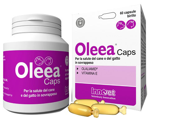 OLEEA CAPS 60 CAPSULE - OLEEA CAPS 60 CAPSULE