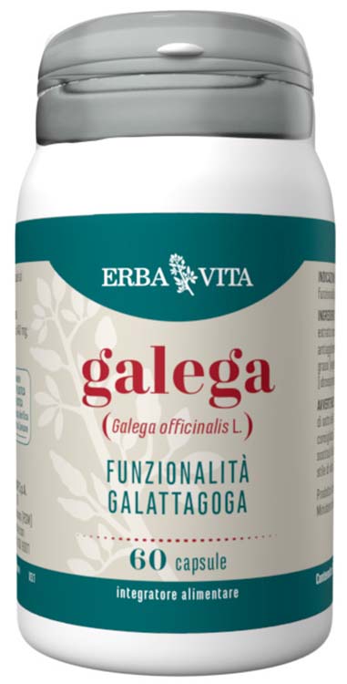GALEGA 60 CAPSULE