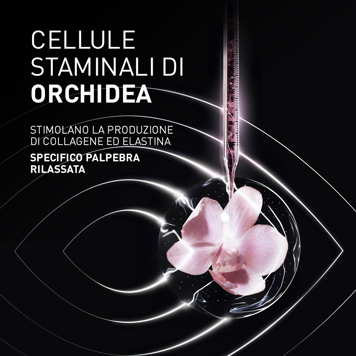 Filorga Time Filler Eyes 5XP STD 2023 15 ML