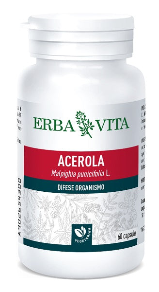 ACEROLA 60 CAPSULE 550 MG - ACEROLA 60 CAPSULE 550 MG