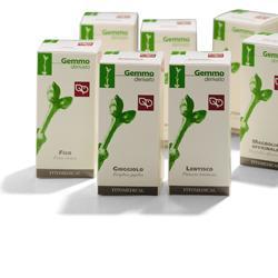 AGNOCASTO MACERATO GLICERICO 200 ML