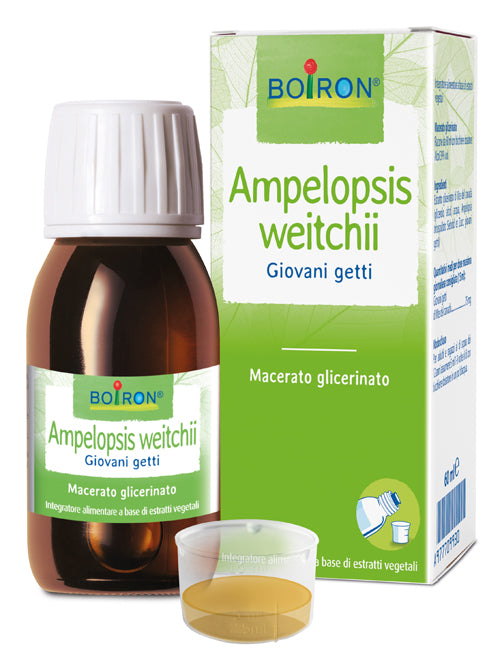 AMPELOPSIS WEITCHII MACERATO GLICERICO 60 ML INT - AMPELOPSIS WEITCHII MACERATO GLICERICO 60 ML INT