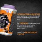 Whey Protein Dream - Creamy Hazelnut- 800 G Named Sport