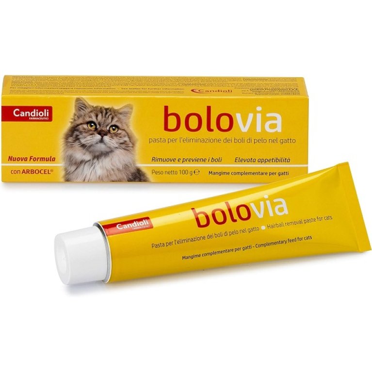 Bolo Via Pasta Gatti 100 g
