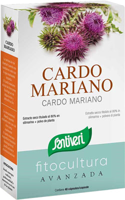 CARDO MARIANO 40 CAPSULE - CARDO MARIANO 40 CAPSULE