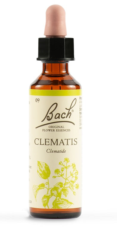 CLEMATIS BACH ORIG 20 ML - CLEMATIS BACH ORIG 20 ML