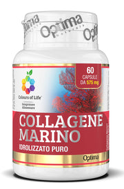 COLOURS OF LIFE COLLAGENE MARINO IDROLIZZATO PURO 60 CAPSULE575 MG
