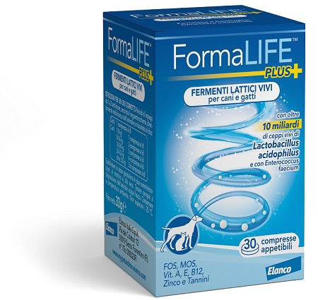 FORMALIFE PLUS FERMENTI LATTICI VIVI 30 COMPRESSE APPETIBILI - FORMALIFE PLUS FERMENTI LATTICI VIVI 30 COMPRESSE APPETIBILI