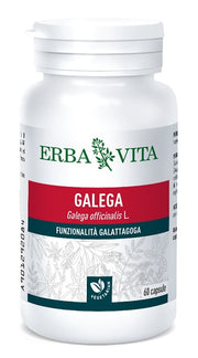 GALEGA 60 CAPSULE