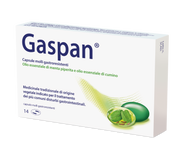 GASPAN*14 cps molli gastrores 90 mg + 50 mg