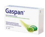 GASPAN*28 cps molli gastrores 90 mg + 50 mg