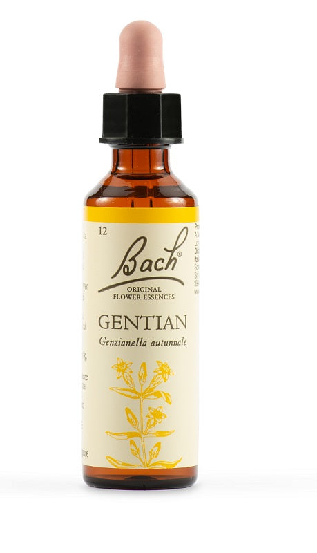 GENTIAN BACH ORIG 20 ML - GENTIAN BACH ORIG 20 ML