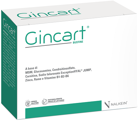 GINCART 18 BUSTINE