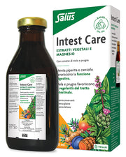 INTEST CARE 250 ML