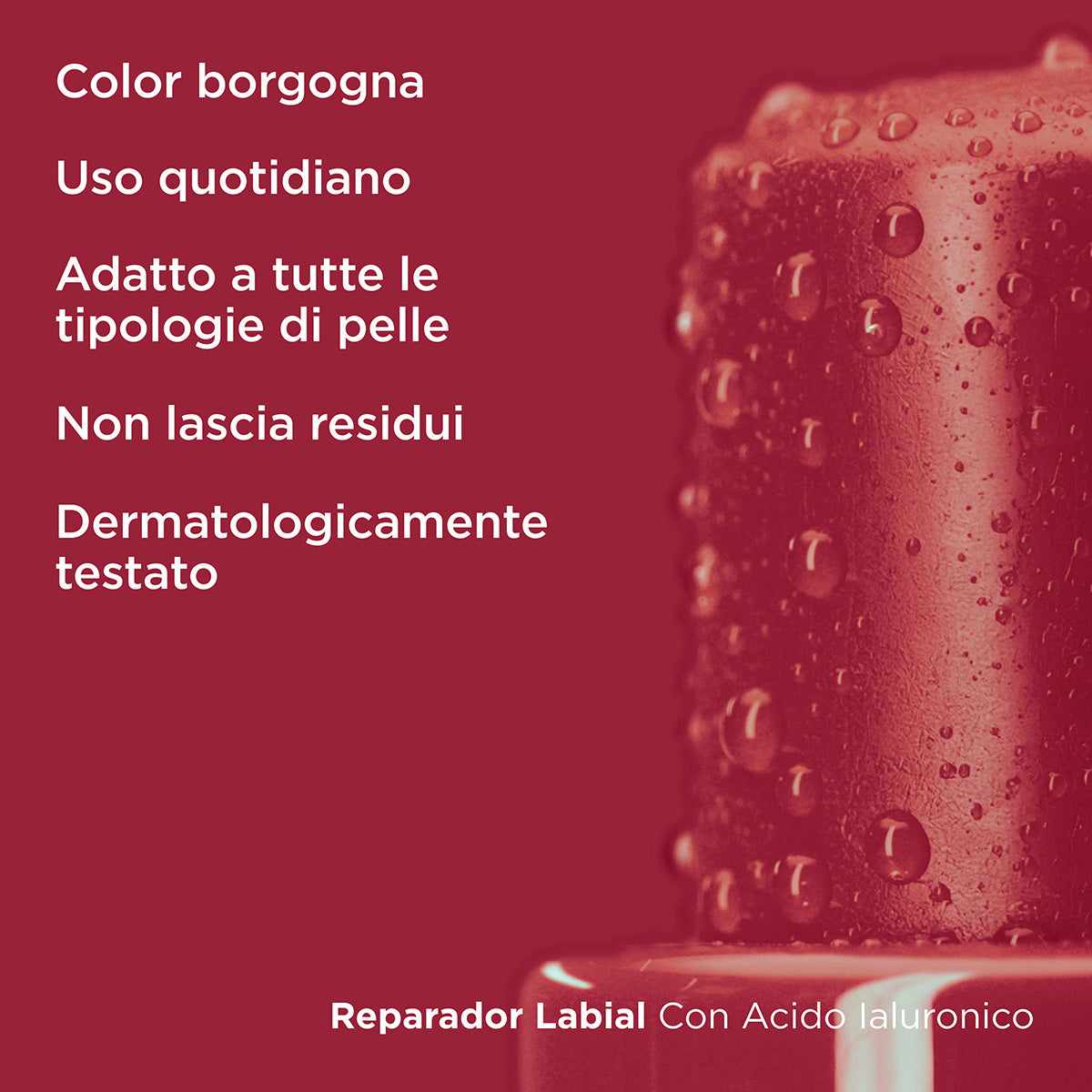 ISDIN Reparador Labial Borgogna 4 g