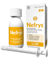 NEFRYS VEG 100 100 ML CON SIRINGA DOSATRICE ALIMENTO COMPLEMENTARE PER CANI E GATTI