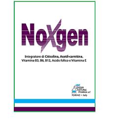 NOXGEN 15 BUSTINE - NOXGEN 15 BUSTINE