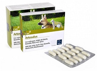 ORME NAT ARTOSALUS 60 COMPRESSE
