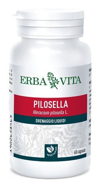 PILOSELLA 60 CAPSULE 400 MG