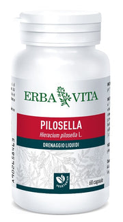 PILOSELLA 60 CAPSULE 400 MG