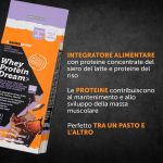 Whey Protein Dream Tasty - Choco Mousse- 350 G Named Sport