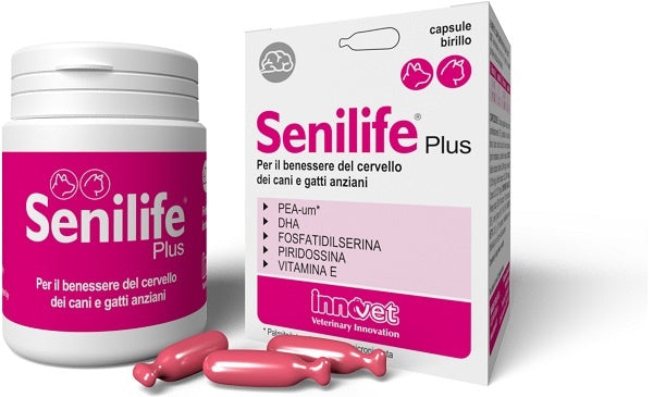 SENILIFE PLUS 30 CAPSULE - SENILIFE PLUS 30 CAPSULE