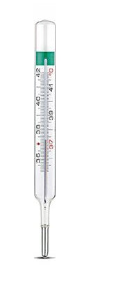 TERMOMETRO GALLIO VEDOECO PLUS