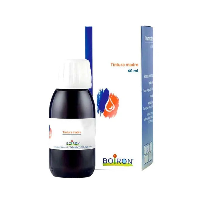 Ribes Nigrum Tintura Madre 60 Ml