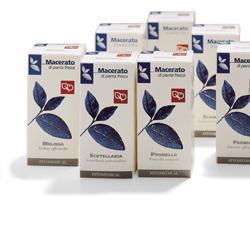 UVA URSINA TINTURA MADRE 50 ML