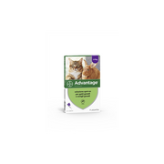 Advantage Spot-On Soluz 4 Pipette 0,8 Ml 80 Mg Gatti E Conigli Grandi