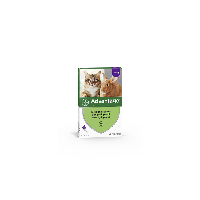 Advantage Spot-On Soluz 4 Pipette 0,8 Ml 80 Mg Gatti E Conigli Grandi
