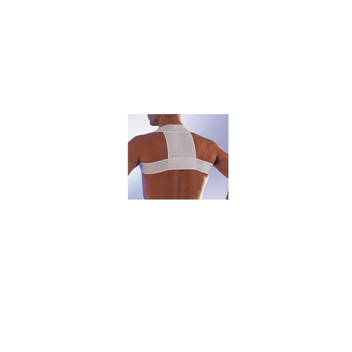 Scudotex Raddrizzaspalle Sostenitivo 4