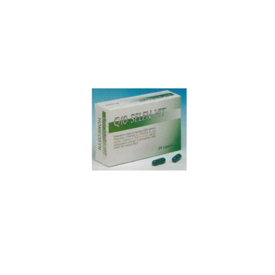 Q10 Selen Vit 24 Capsule